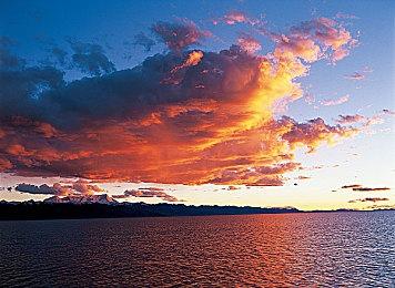 生态改造沙盒游戏《蜂巢：异星物语》，异星家园重塑地球生态！