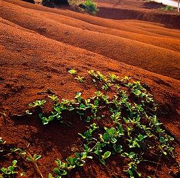 跑团风回合制RPG《无名者：屠龙》PC版9＆26推出