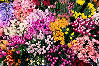 泄露《GTA6》的青少年黑客被认为精神有问题 不适合审判